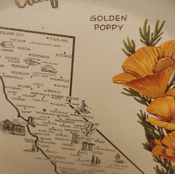 California vintage souvenir tin tray - Picture 5 of 10
